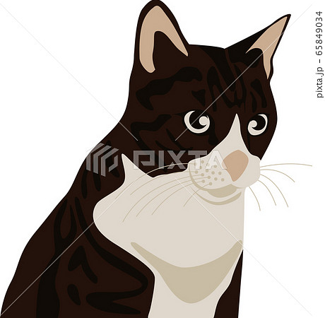 トラ猫 イラスト 昼 ベクターのイラスト素材
