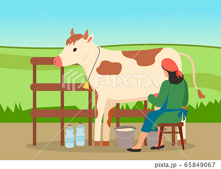 Woman farmer near cow on nature landscape. Milkmaid is working at countryside milking cow in field 65849067
