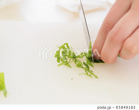 シソの葉を刻む手02 シソの葉を刻む手02 65849183