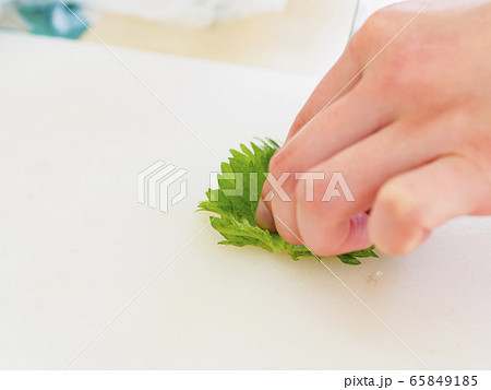 シソの葉を刻むために押さえている手 シソの葉を刻むために押さえている手 65849185