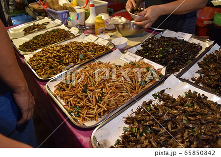 タイの虫屋台 タイの虫屋台 65850842