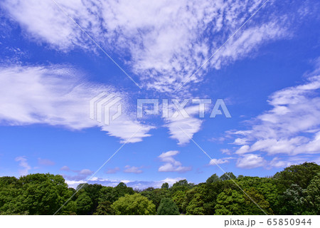 青空 青空 65850944