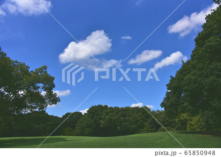 青空 青空 65850948