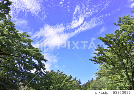 青空 65850951