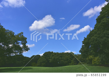 青空 青空 65851199