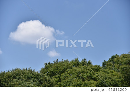 青空 青空 65851200