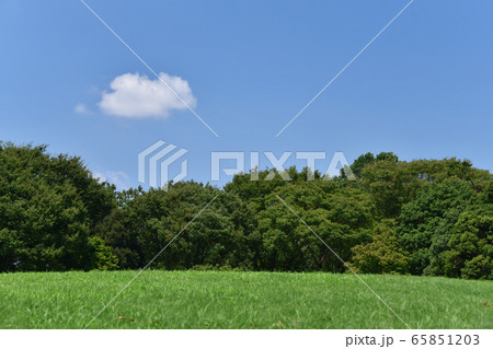 青空 65851203