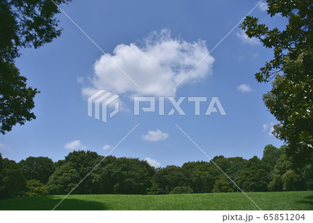 青空 65851204
