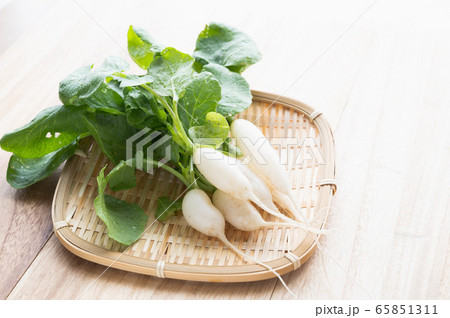 ミニ大根 65851311