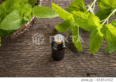 A bottle of essential oil with melissa twigs 65851432