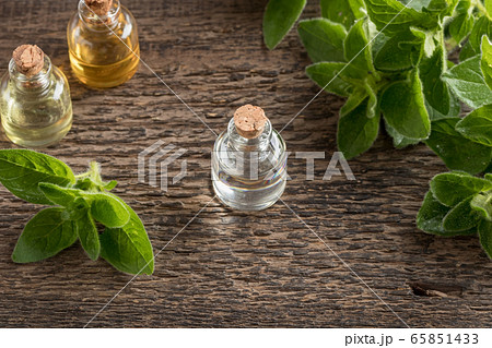 A bottle of essential oil with oregano twigs 65851433
