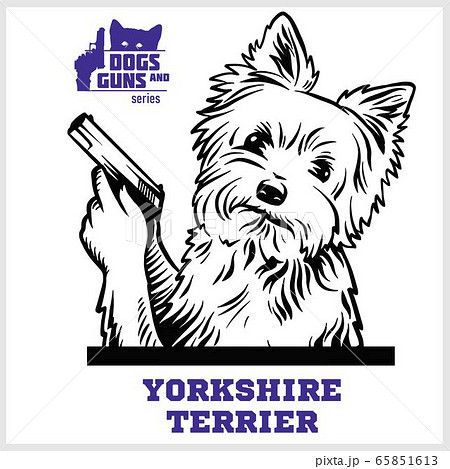 Yorkshire Terrier Dog With Gun Yorkshire のイラスト素材