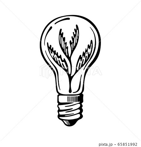 Green eco energy concept, plant growing inside the light bulb. Hand-drawn icon vector isolated on white background 65851992