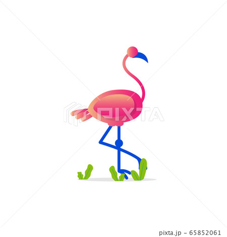 Flamingo illustration vector design isolated on 65852061