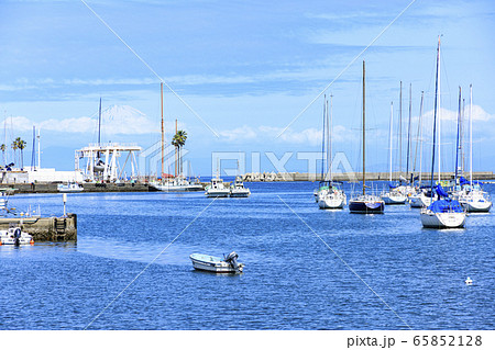 入江(初夏) 入江(初夏) 65852128