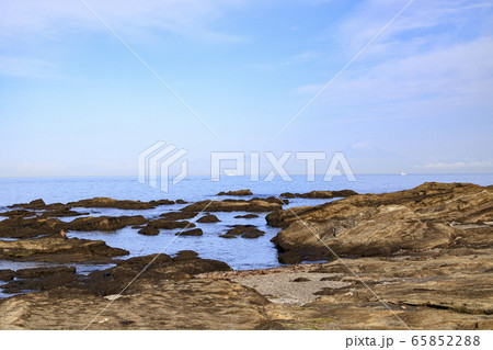 岬(初夏) 岬(初夏) 65852288