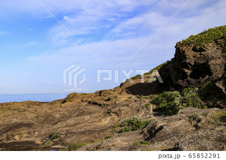 岬（初夏） 65852291