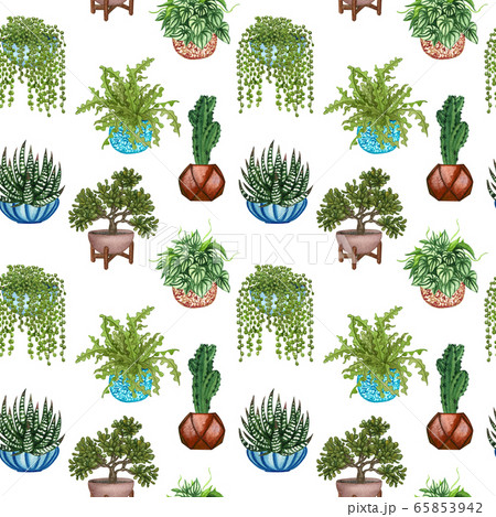 Watercolor Seamless pattern of different house plants. Hand drawn indoor green plants in flower pots. Decorative greenery backdrop perfect for fabric textile, scrapbooking or wrapping paper design. 65853942