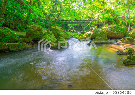 王滝渓谷　渓流　新緑　スローシャッター　【愛知県】 65854589