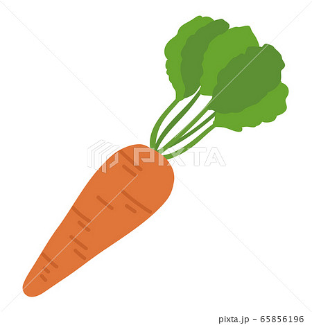 ニンジン にんじん 人参 野菜のイラスト素材