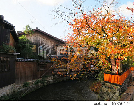祇園白川　巽橋　秋風景 65856472