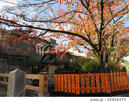 祇園白川 巽橋 秋風景 祇園白川 巽橋 秋風景 65856474