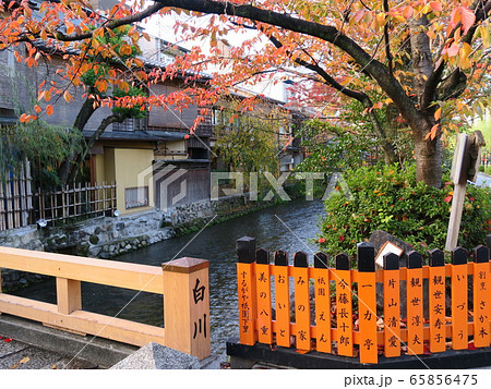 祇園白川　巽橋　秋風景 65856475