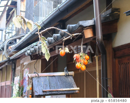 祇園白川　巽橋　秋風景 65856480