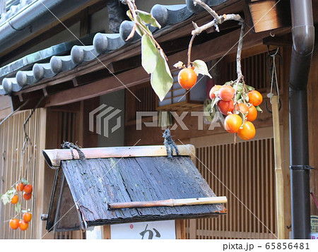 祇園白川　巽橋　秋風景 65856481