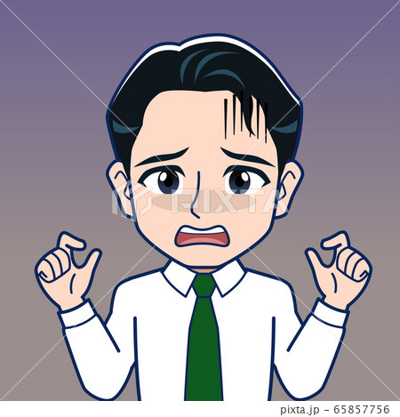 男性サラリーマンのイラスト 男性サラリーマンのイラスト 65857756