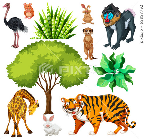 Set of cute wild animal and nature 65857792