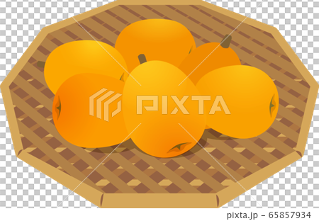 Loquat loquat loquat fruit - Stock Illustration [65857934] - PIXTA