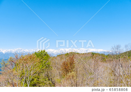 虫倉山山頂の風景(5月)・北アルプスを望む 虫倉山山頂の風景(5月)・北アルプスを望む 65858808