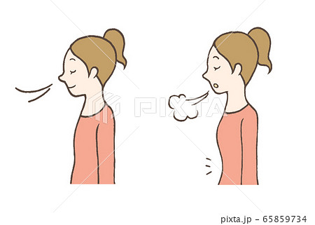 Woman Breathing Abdominal Stock Illustration