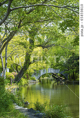 石神井公園 石神井公園 65859810