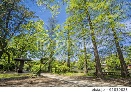 石神井公園 石神井公園 65859823