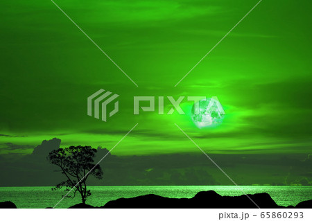 Flower  green moon and tree on the silhouette 65860293