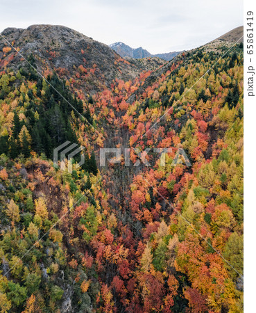 Arrowtown, New Zealand 65861419