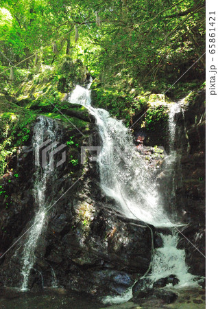 犬鳴山　行者の滝 65861421