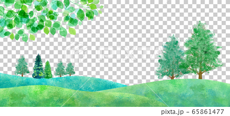 新緑の平原の風景、水彩イラスト 65861477