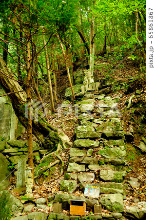 犬鳴山七宝瀧寺　義犬像 65861867