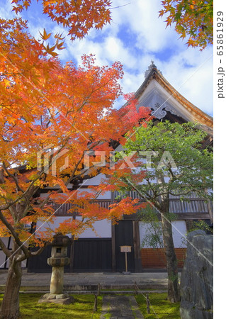 大徳寺塔頭  黄梅院の紅葉 65861929
