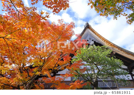 大徳寺塔頭  黄梅院の紅葉 65861931