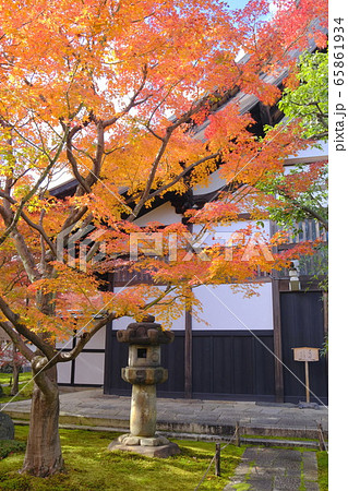 大徳寺塔頭  黄梅院の紅葉 65861934