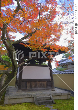大徳寺塔頭  黄梅院の紅葉 65861937