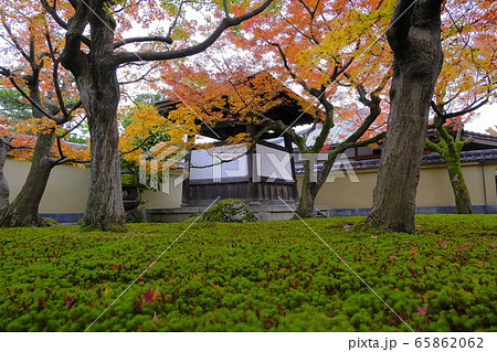 大徳寺塔頭 黄梅院の紅葉 65862062