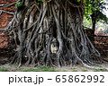 ワットマハタート(Wat Mahathat)_遺跡_木の根で覆われた仏頭_アユタヤ_タイ 65862992