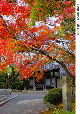 八坂の塔 法観寺 八坂の塔 法観寺 65863084