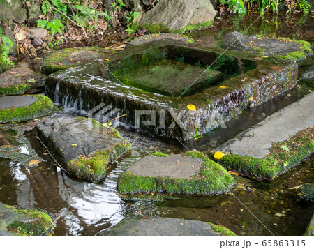 井の頭公園　お茶の水井戸の風景　湧水 65863315