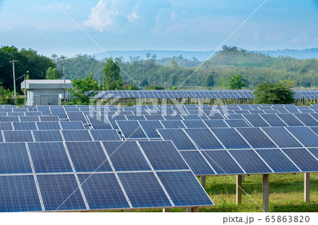 photovoltaic cells in the solar panel farm photovoltaic cells in the solar panel farm 65863820